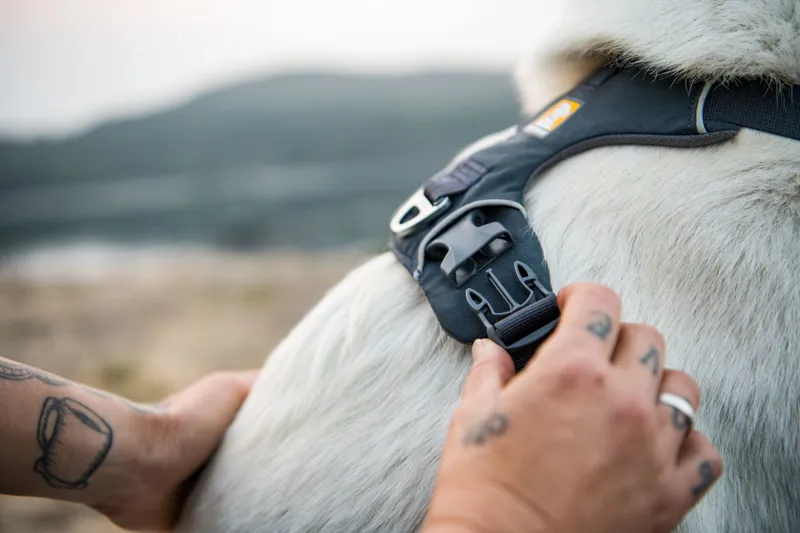 Ruffwear Front Range Dog Harness Basalt Gray-10